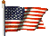 US Flag